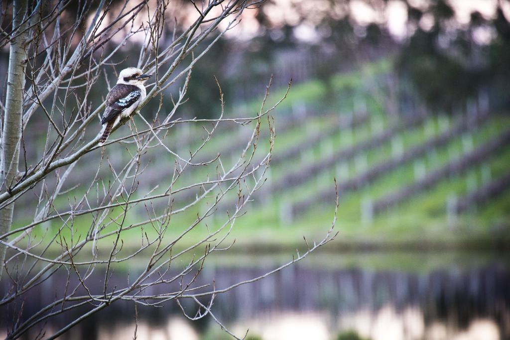 Bettenays Margaret River Metricup Cameră foto